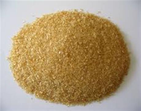 Hội thảo giới thiệu công nghệ chế biến gelatine từ da cá và chế biến thủy sản bằng phương pháp HPP
