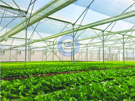 Hệ thống nhà màng cho sản xuất nông nghiệp công nghệ cao