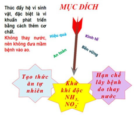 Công nghệ BIOFLOC xử lý khí độc trong ao nuôi tôm