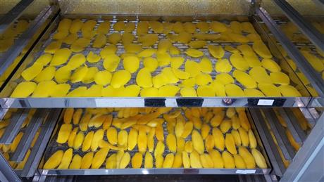 Mời tham dự hội thảo “Giới thiệu một số công nghệ sấy nông sản, thực phẩm ưu việt”