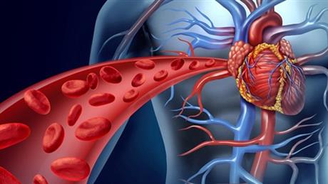 Máy phòng chống huyết khối tĩnh mạch sâu