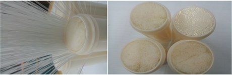 Công nghệ màng siêu lọc UF