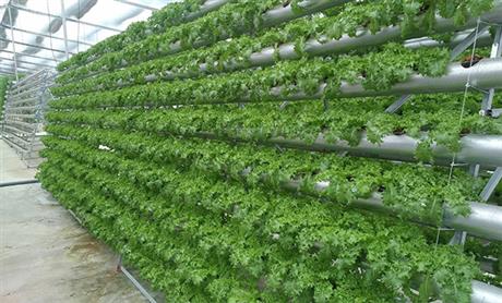 Mời tham dự hội thảo "Giải pháp thủy canh hồi lưu kết hợp cảm biến IoT trong nông nghiệp"