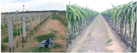 Mời tham dự hội thảo chuyên đề "Công nghệ tưới nhỏ giọt ứng dụng cho cây trồng ở vùng đất nhiễm mặn”