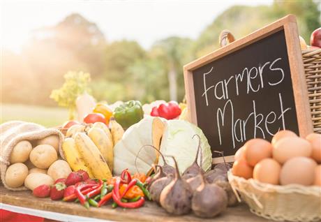 Food Hub: cầu nối thực phẩm sạch từ nông trại đến bàn ăn