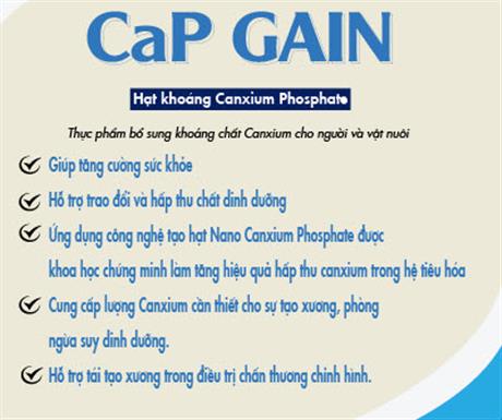 Mời tham dự hội thảo giới thiệu "Công nghệ tạo hạt Nano Calcium Phosphate và ứng dụng vào sản xuất"