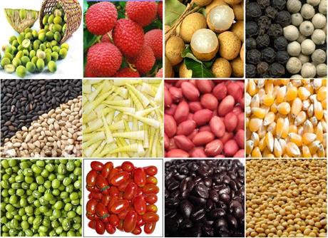 Chế biến nông sản xuất khẩu và bệ phóng khoa học công nghệ trong năm 2018