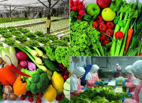 TP.HCM, tháng 5/2018: Techmart “Trồng trọt, chế biến và bảo quản rau, củ, quả”