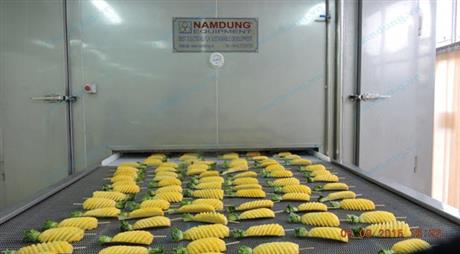 Hệ thống cấp đông cá thể IQF phục vụ sản xuất, chế biến nông sản