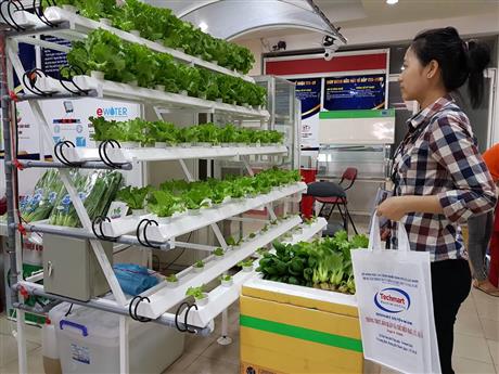 Tín hiệu vui từ Techmart chuyên ngành trồng trọt, bảo quản và chế biến rau - củ - quả