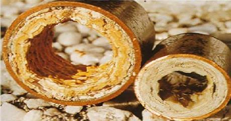 Giải pháp xử lý cáu cặn bằng công nghệ Ion tại Sàn giao dịch Công nghệ TP.HCM