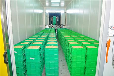 Tầm quan trọng của kiểm soát chất lượng không khí trong quy trình chế biến, bảo quản rau - củ - quả