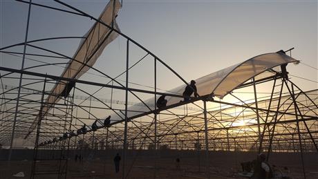 Giải pháp sản xuất nông nghiệp công nghệ cao từ Israel