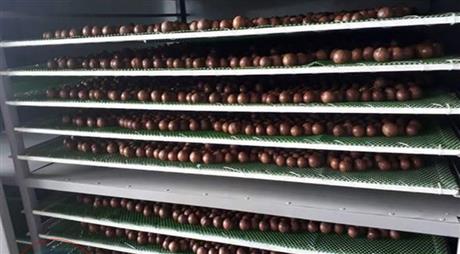 Buồng sấy nông sản