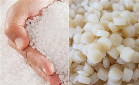 Mời tham dự báo cáo phân tích xu hướng công nghệ "Xu hướng nghiên cứu và ứng dụng polymer sinh học trong công nghiệp thực phẩm"