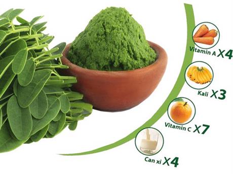 Hội thảo giới thiệu “Công nghệ chiết xuất bột màu thực phẩm từ chùm ngây”