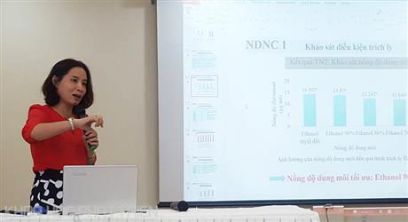 Công nghệ tối ưu chế biến chùm ngây thành bột màu thực phẩm