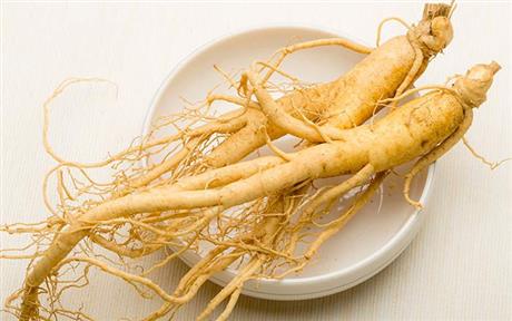 Mời tham dự báo cáo phân tích xu hướng công nghệ "Xu hướng công nghệ trồng sâm phi lâm nghiệp"