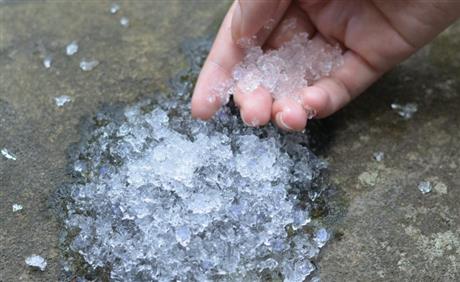 Mời tham dự hội thảo giới thiệu “Giải pháp chống hạn, cải tạo đất cho cây trồng bằng hạt siêu trữ nước”