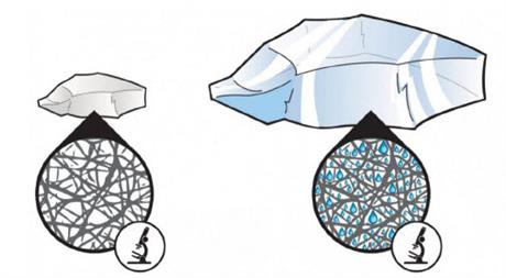 [Trực tiếp] hội thảo giới thiệu "Giải pháp chống hạn, cải tạo đất cho cây trồng bằng hạt siêu trữ nước"