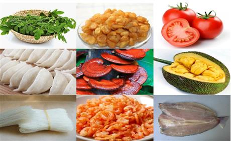 Mời tham dự hội thảo giới thiệu "Công nghệ sấy động ứng dụng năng lượng mặt trời trong chế biến thực phẩm"