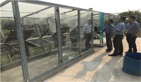 Đưa công nghệ “sấy 0 đồng” phục vụ nông sản giá trị cao