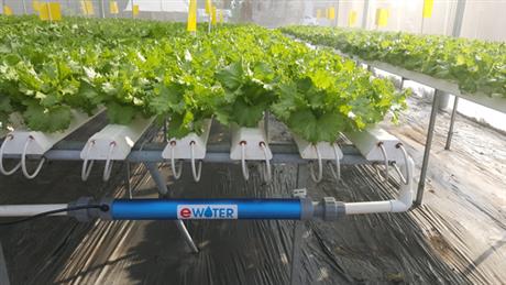 Thiết bị phát sóng điện từ Ewater: tạo nước tưới chứa ion năng lượng cao cho cây trồng tăng trưởng nhanh, không dư lượng hóa chất
