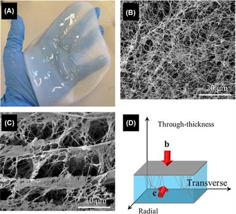Mời tham dự báo cáo phân tích xu hướng công nghệ "Xu hướng phát triển sản phẩm cellulose sinh học tại Việt Nam"
