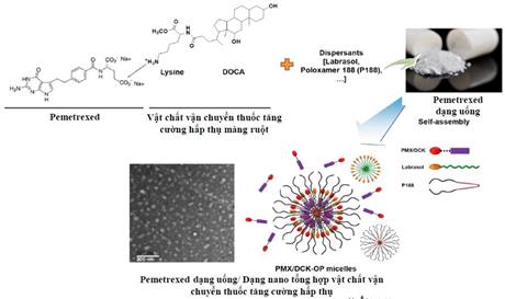 Metronomic: thuốc uống chứa hoạt chất pemetrexed trị ung thư