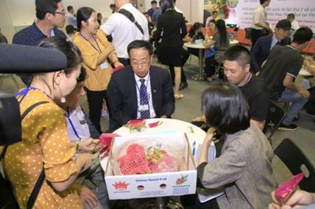 Gặp chuyên gia tư vấn xuất nhập khẩu rau, hoa, quả tại Diễn đàn xuất khẩu HortEx Vietnam 2020