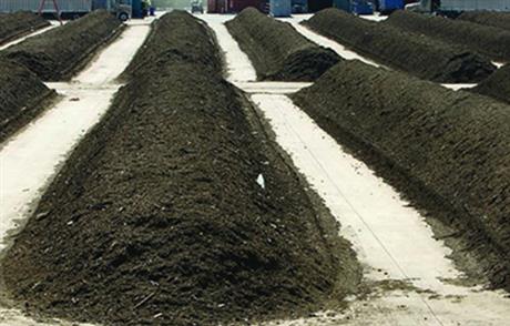 Techmart Công nghệ sinh học 2020: Men vi sinh Bionetix BCP85 Compost Accelerator