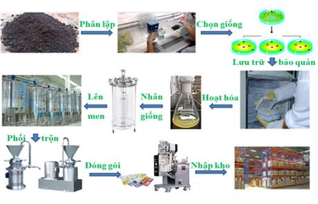 Techmart Công nghệ sinh học 2020: Nhân sinh khối vi sinh vật có lợi cho các ngành trồng trọt, chăn nuôi, thủy sản