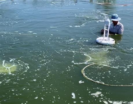 Giải pháp nông nghiệp thông minh cho người Việt