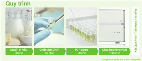 Sinh phẩm định lượng nấm men, nấm mốc chỉ trong 5 giờ