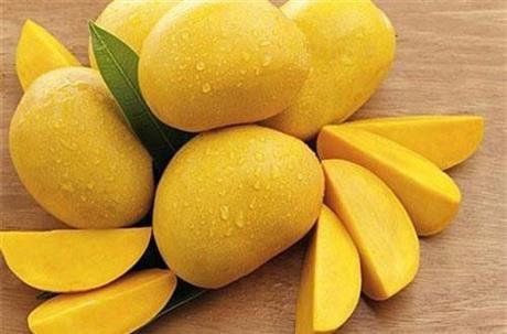 Ngày 14/12: Kết nối ý tưởng "Công nghệ bảo quản xoài"