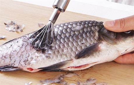 Ngày 18/12: Kết nối ý tưởng "Công nghệ sản xuất collagen"