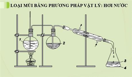 Công nghệ khử mùi dầu thực vật ứng dụng trong sản xuất mỹ phẩm và thực phẩm
