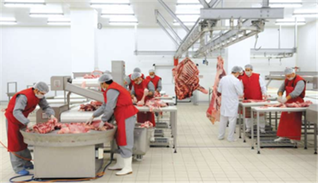 Dây chuyền giết mổ công nghiệp tiêu chuẩn Châu Âu tại Việt Nam