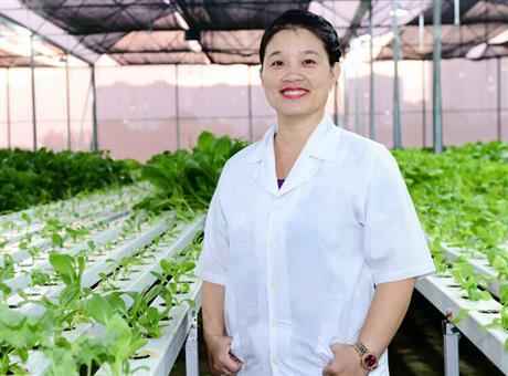 Nữ tiến sĩ tạo giống lúa chịu mặn