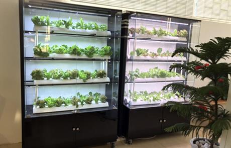 Techmart Công nghệ sau thu hoạch 2020: Hệ thống tủ rau sạch tại nhà