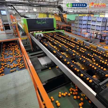 Máy phân loại trái cây tự động bằng camera thông minh iQS Performance Plus