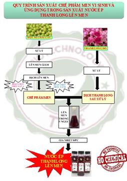 Quy trình sản xuất chế phẩm men vi sinh và ứng dụng trong sản xuất nước ép lên men