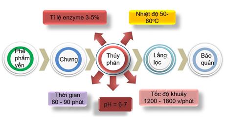 Techmart Công nghệ sinh học 2021: Dùng công nghệ enzyme sản xuất nguyên liệu mỹ phẩm từ phế phụ phẩm nông nghiệp