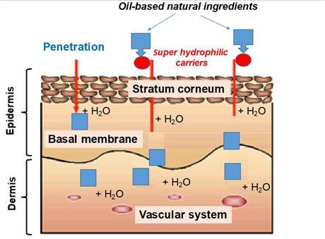 Techmart Công nghệ sinh học trực tuyến 2021: Công nghệ cố định các chiết xuất thảo dược ở hỗn hợp dầu có tính thấm qua da cực nhanh
