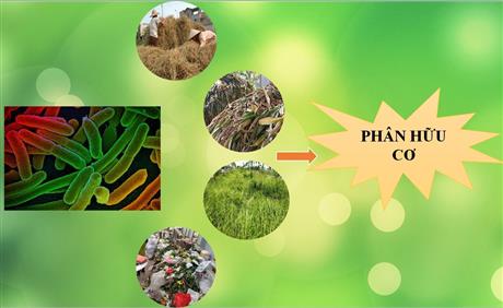 Hội thảo Techmart Công nghệ sinh học 2021: nhiều nghiên cứu có tiềm năng ứng dụng