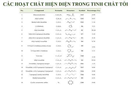 Techmart Công nghệ sinh học trực tuyến 2021: Công nghệ chiết xuất tinh chất tỏi
