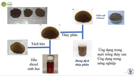 Thủy phân nhộng ruồi lính đen tạo sản phẩm ứng dụng trong chăn nuôi và nuôi trồng thủy sản