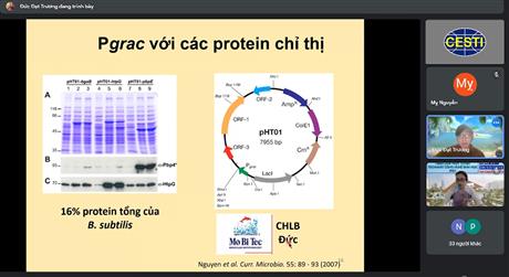 Ứng dụng protein tái tổ hợp để sản xuất vaccine cho chăn nuôi
