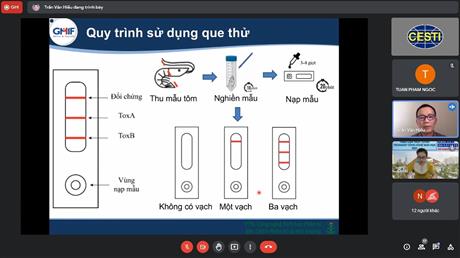 Que thử phát hiện nhanh AHPND: giải pháp kiểm soát sớm dịch bệnh trên tôm nuôi