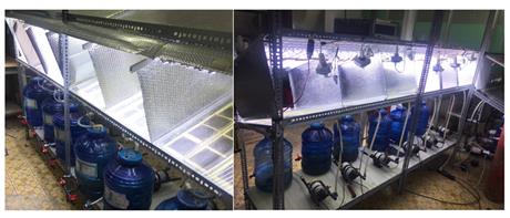 Kết nối chuyên gia: tư vấn công nghệ nuôi cấy vi tảo hai lớp màng